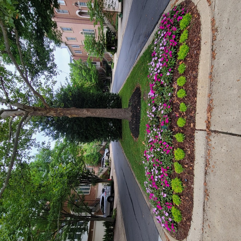Chancery Square community