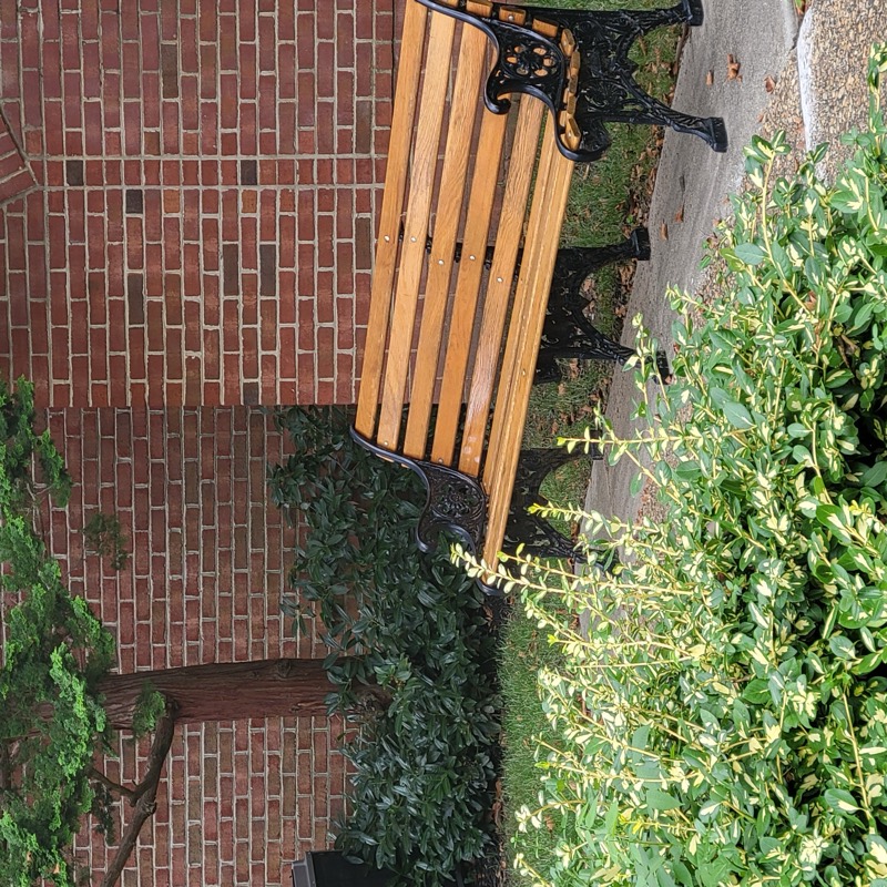 Chancery Square community
