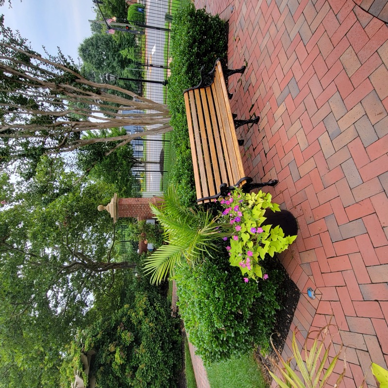 Chancery Square community