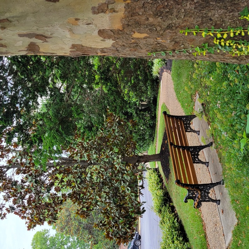 Chancery Square community